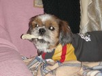 Pictures up to 16-11-2006 207.jpg